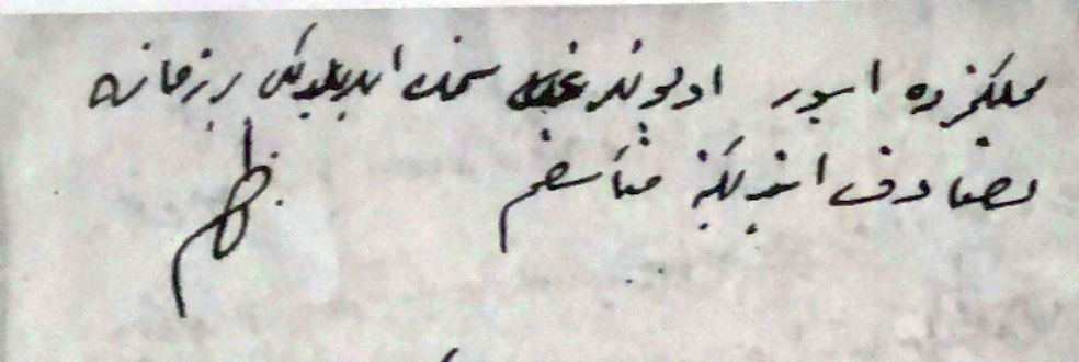 Fenerbahçe Başkanı Doktor Nazım Bey