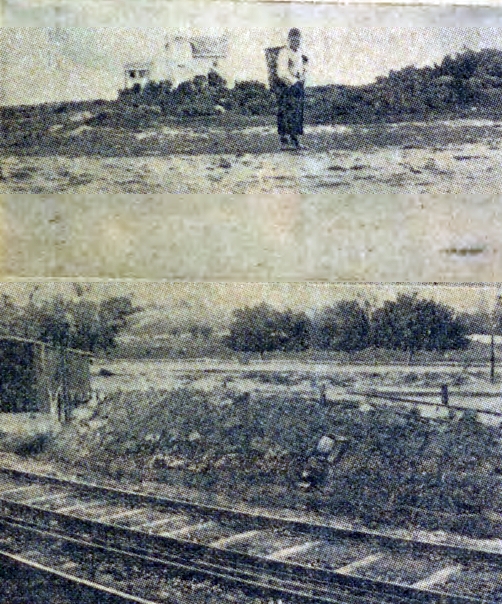 Eski Caddebostanı ve&nbsp;Suadiye