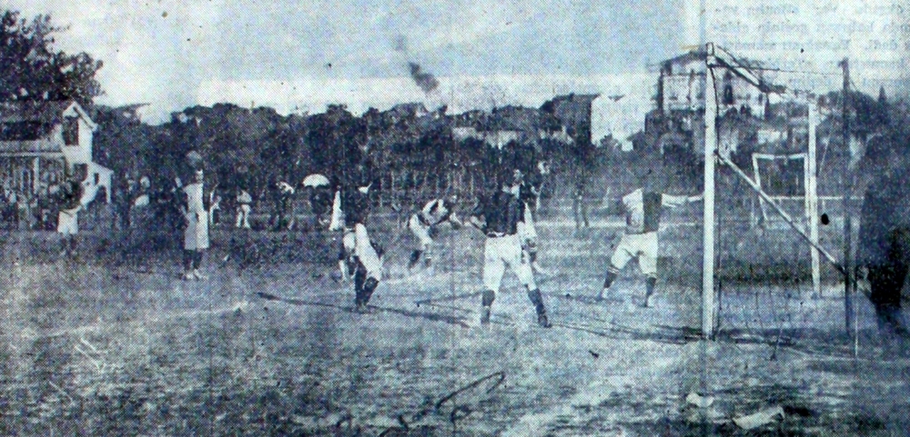 Canlı Yapraklar –&nbsp;XLIV