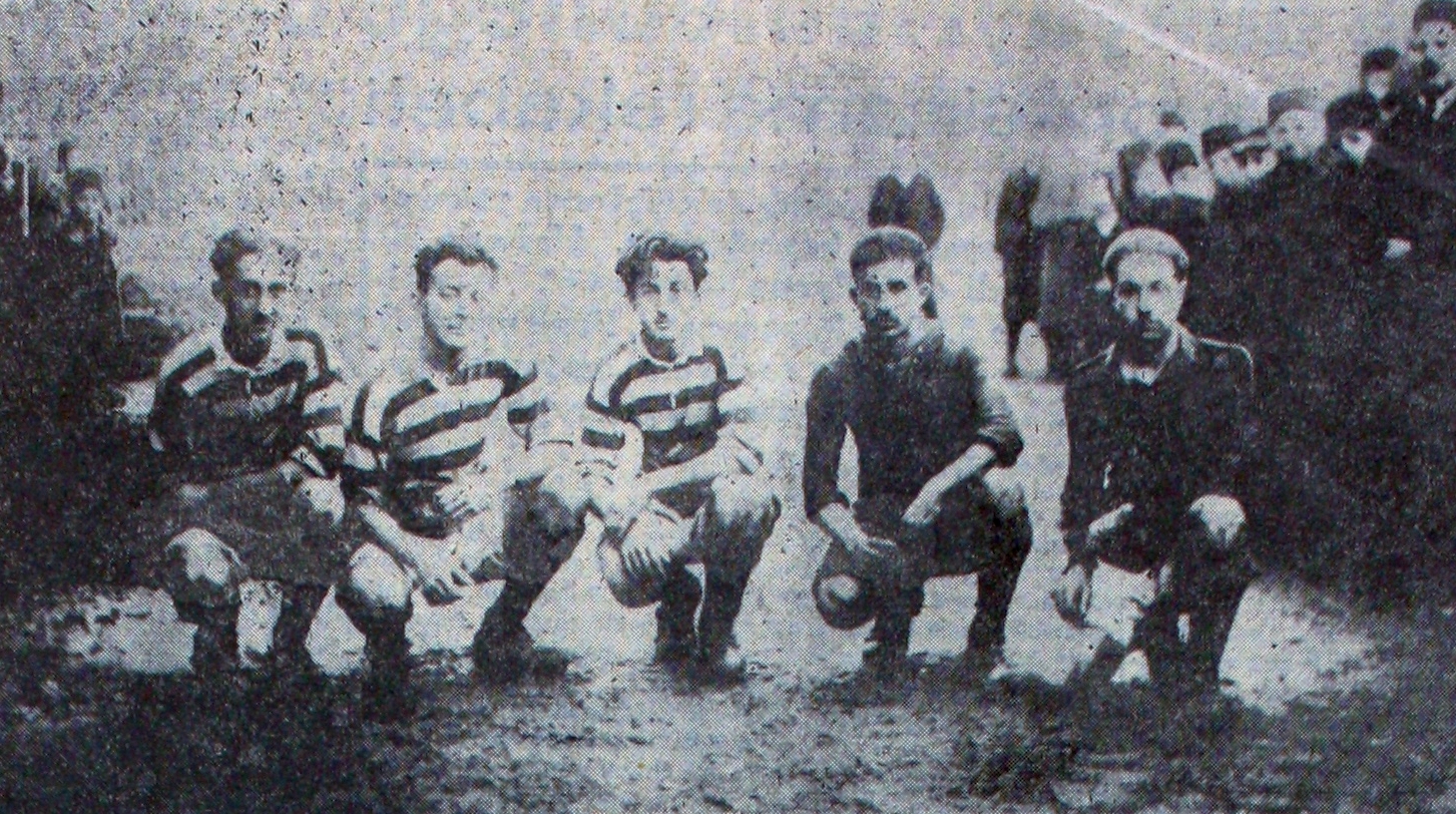 Canlı Yapraklar – XLII