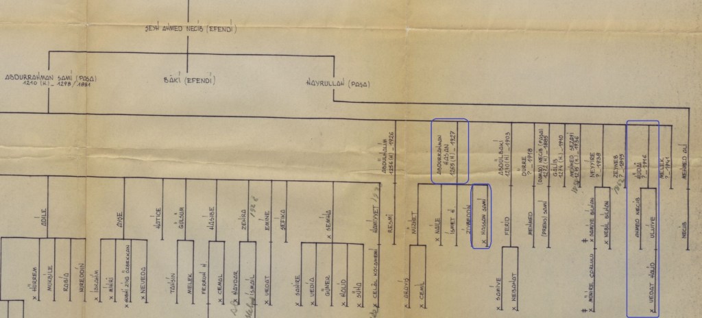 Ayetullah Bey'in Ailesini Bulduk