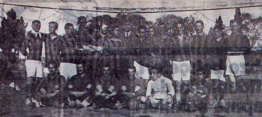 Canlı Yapraklar – XXIX