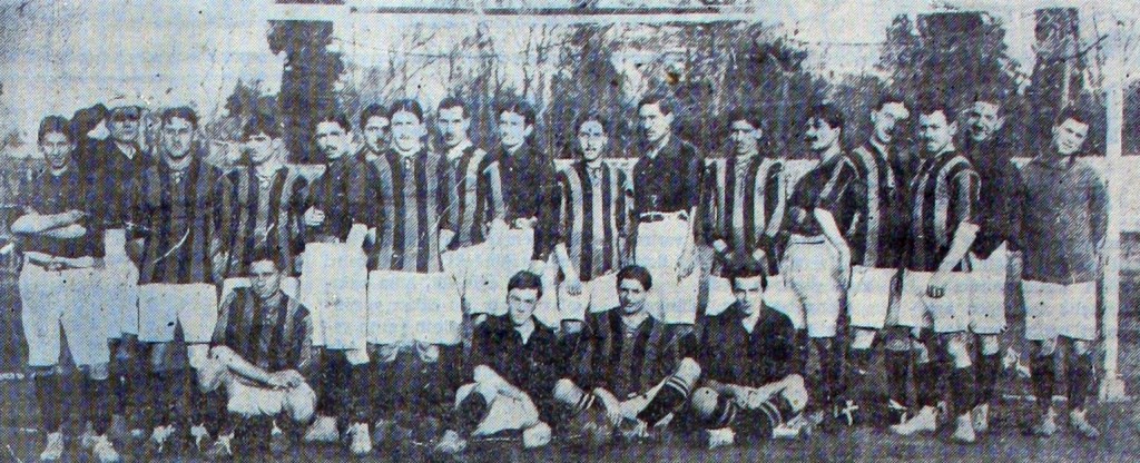 Canlı Yapraklar –&nbsp;VI