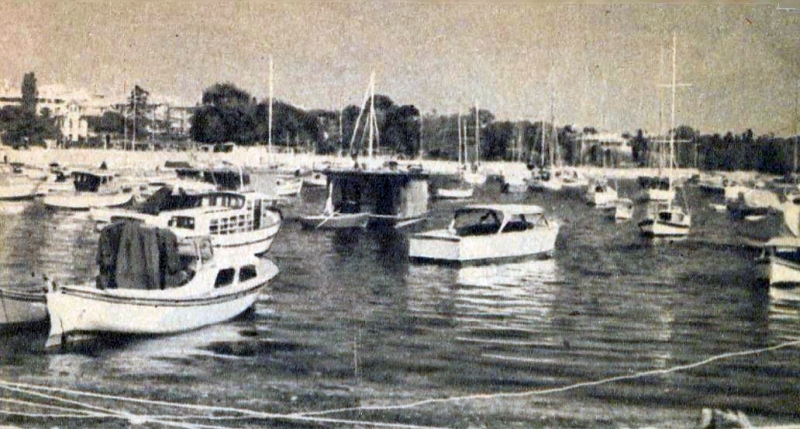 Reşad Ekrem Koçu'dan Fenerbahçe